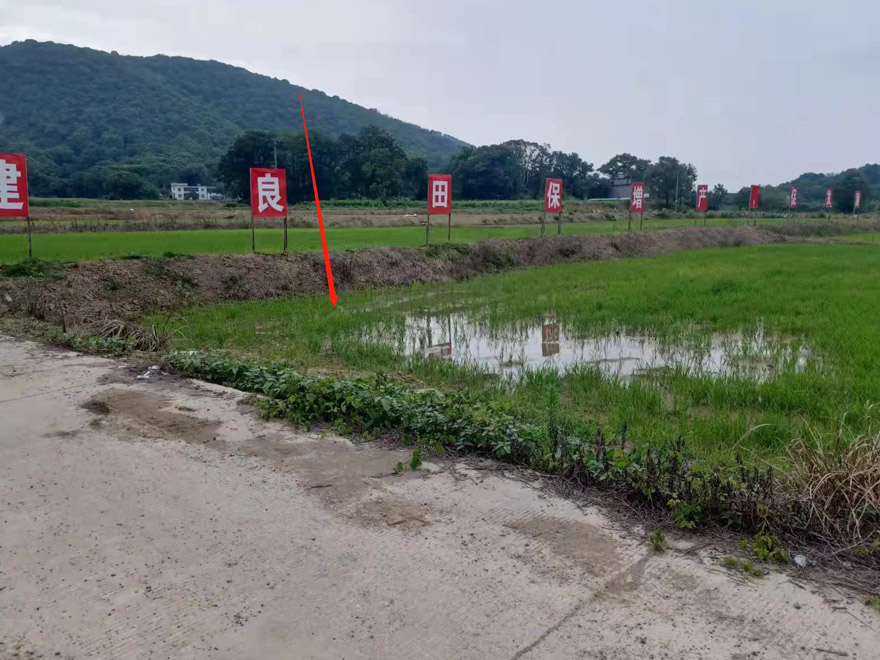 江西省宜春市袁州区2021统筹整合资金推进高标准农田建设